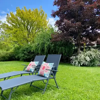 Schwanennest am Chiemsee