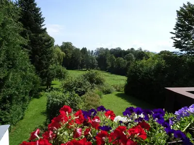 Ein Garten an der Unterkunft Haus Elbrächter 1