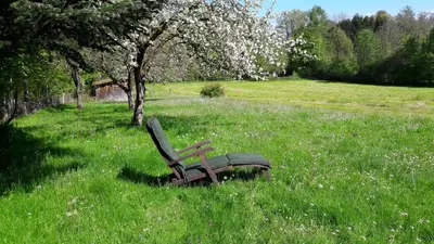 Ein Garten an der Unterkunft Haus Elbrächter 1