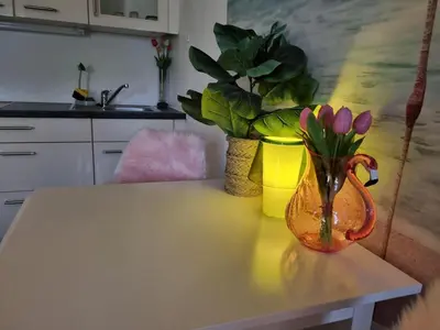 Küche/Küchenzeile in der Unterkunft FlamingoSuite in Seenähe