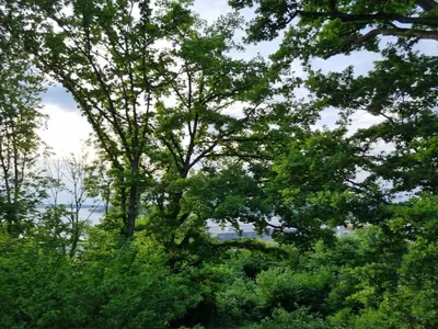 Naturlandschaft in der Nähe der Ferienwohnung