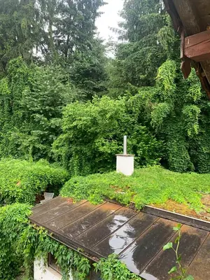 Ein Garten an der Unterkunft Ferienwohnung Schatzkisterl