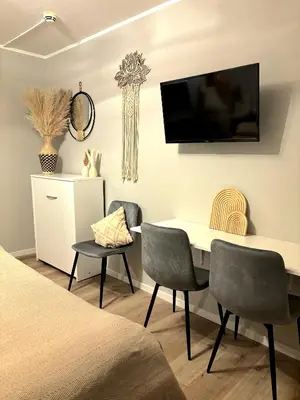 TV/Unterhaltungsangebot in der Unterkunft Bohemian Chic City Apartment - Munich Central Station