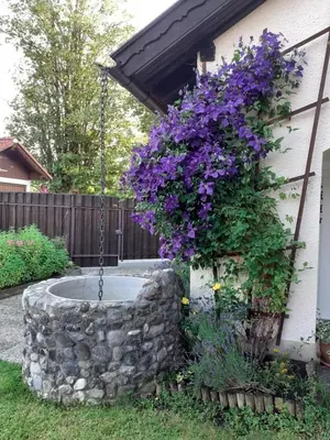 Ein Garten an der Unterkunft Ferienwohnung Feßler