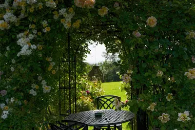 Ein Garten an der Unterkunft Romantik Unterkünfte Gut Rechetsberg