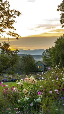 Naturlandschaft in der Nähe der Ferienwohnung