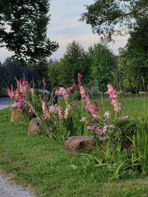 Ein Garten an der Unterkunft Romantik Unterkünfte Gut Rechetsberg