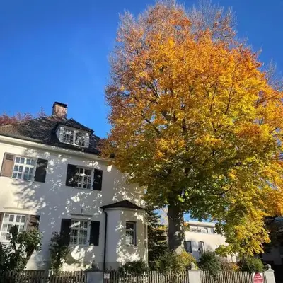 Altstadt-Domizil-Friedberg