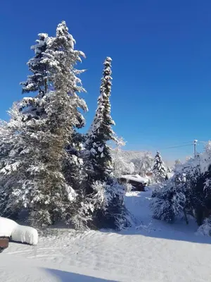 Gästehaus Zunterer im Winter