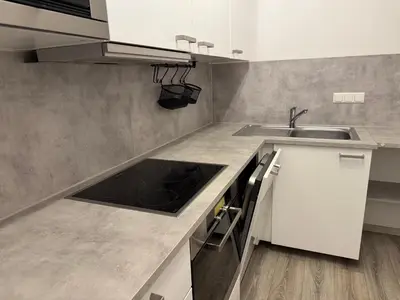 Küche/Küchenzeile in der Unterkunft Ferienwohnung Landshut am Gambach