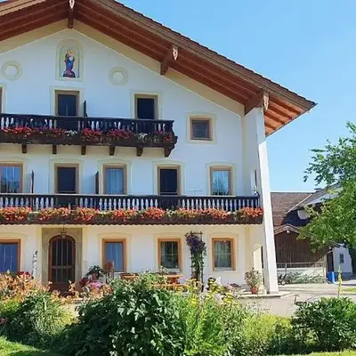 Hofbauer