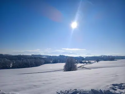 Naturlandschaft in der Nähe der Ferienwohnung