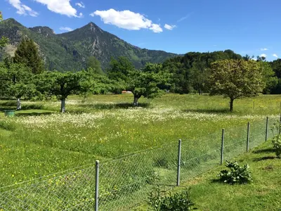 Naturlandschaft in der Nähe der Ferienwohnung
