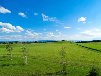 Naturlandschaft in der Nähe der Ferienwohnung