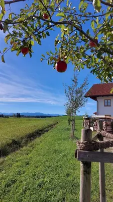 Naturlandschaft in der Nähe der Ferienwohnung