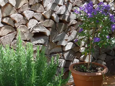 Ein Garten an der Unterkunft Suite Wiesmahd