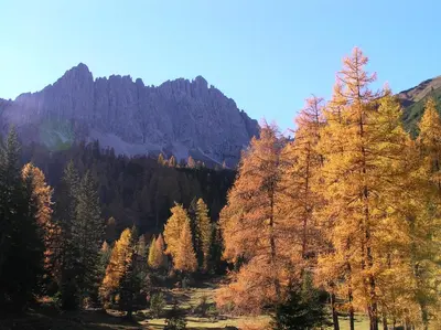 Naturlandschaft in der Nähe der Ferienwohnung