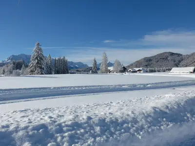 Suite Wiesmahd im Winter