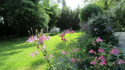 Ein Garten an der Unterkunft Familiennest Vogelwuid