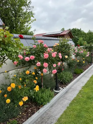 Ein Garten an der Unterkunft Theresiengarten