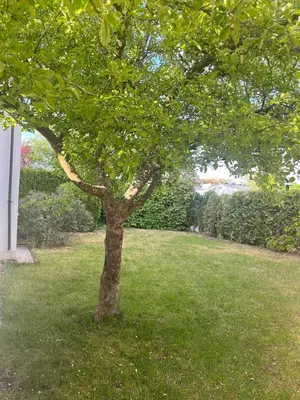 Ein Garten an der Unterkunft Grosses Haus bei München mit 4 Schlafzimmern für bis zu 10 Personen