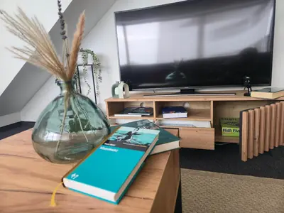 TV/Unterhaltungsangebot in der Unterkunft Große Wohnung nahe München