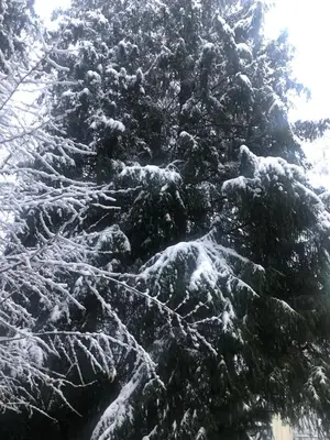 Fun Franz for 6 Persons im Winter