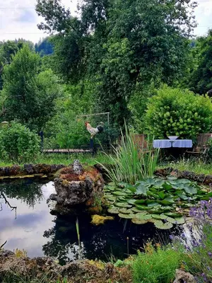 Naturlandschaft in der Nähe der Ferienwohnung