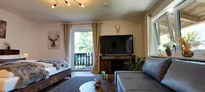 TV/Unterhaltungsangebot in der Unterkunft Apartment Schildenstein