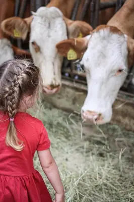 Tiere in der Ferienwohnung oder in der Nähe