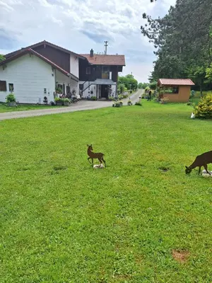 Haustiere von Gästen der Unterkunft Ferienwohnung