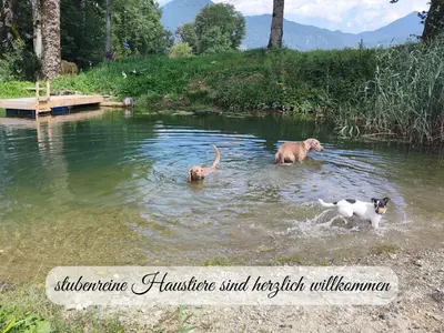 Naturlandschaft in der Nähe der Ferienwohnung