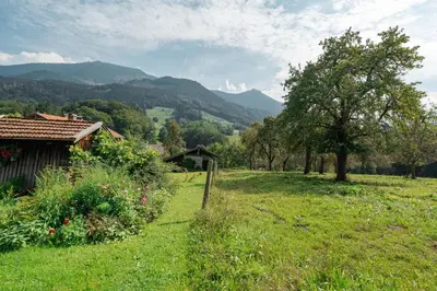Naturlandschaft in der Nähe der Ferienwohnung