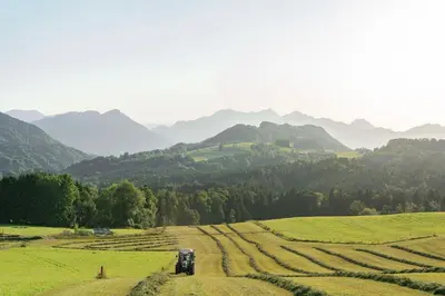 Naturlandschaft in der Nähe der Ferienwohnung
