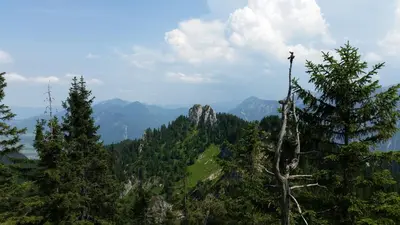 Naturlandschaft in der Nähe der Ferienwohnung