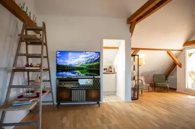 TV/Unterhaltungsangebot in der Unterkunft Rooftop Arts&Crafts Apartment, zentral und ruhig, 3 Dachterrassen
