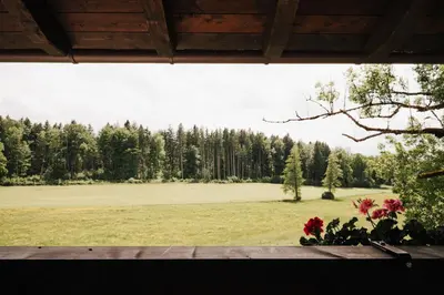 Naturlandschaft in der Nähe der Ferienwohnung