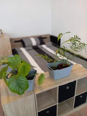 Grundriss der Unterkunft Helles Wohlfühl Apartment in Landshut Altdorf