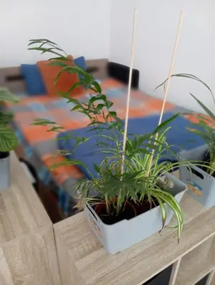 Grundriss der Unterkunft Helles Wohlfühl Apartment in Landshut Altdorf