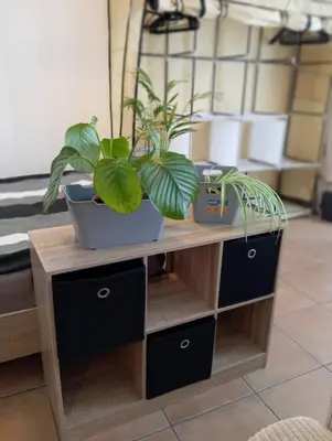 Grundriss der Unterkunft Helles Wohlfühl Apartment in Landshut Altdorf