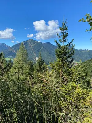 Naturlandschaft in der Nähe der Ferienwohnung
