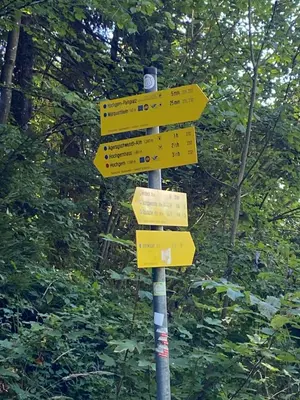 Naturlandschaft in der Nähe der Ferienwohnung