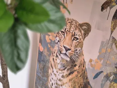 Tiere in der Ferienwohnung oder in der Nähe
