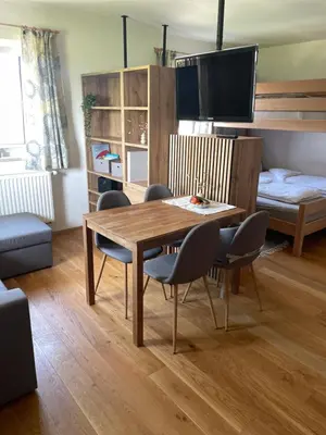 TV/Unterhaltungsangebot in der Unterkunft Ferienwohnung Schmied