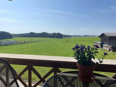 Naturlandschaft in der Nähe der Ferienwohnung