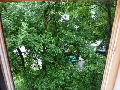 Ein Garten an der Unterkunft Oktoberfest 5min