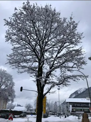 Ferienwohnung Schneeglöckchen im Winter