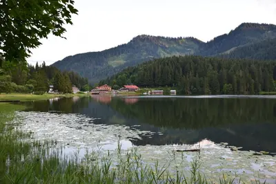 Naturlandschaft in der Nähe der Ferienwohnung