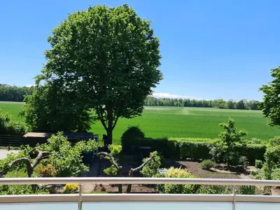 Ein Garten an der Unterkunft La Datcha
