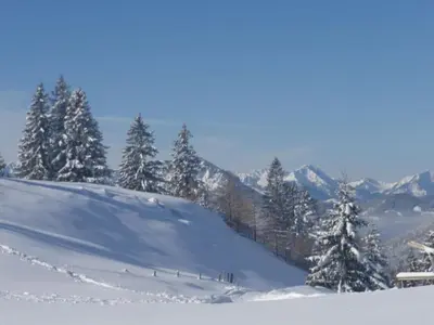 1-bedroom holiday home im Winter